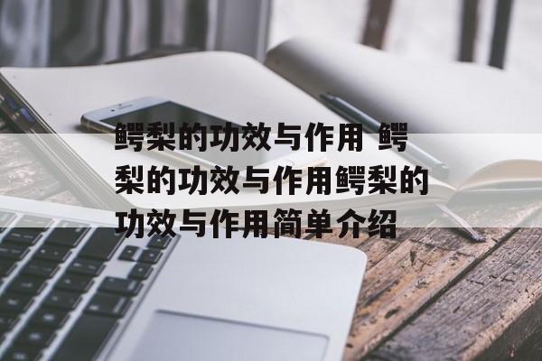 鳄梨的功效与作用 鳄梨的功效与作用鳄梨的功效与作用简单介绍-第1张图片-