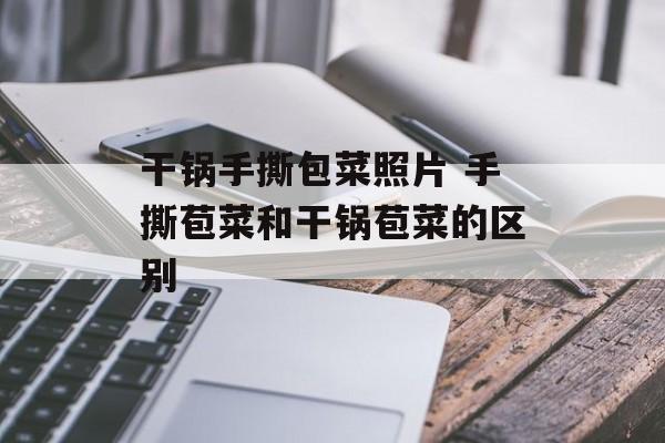 干锅手撕包菜照片 手撕苞菜和干锅苞菜的区别-第1张图片-