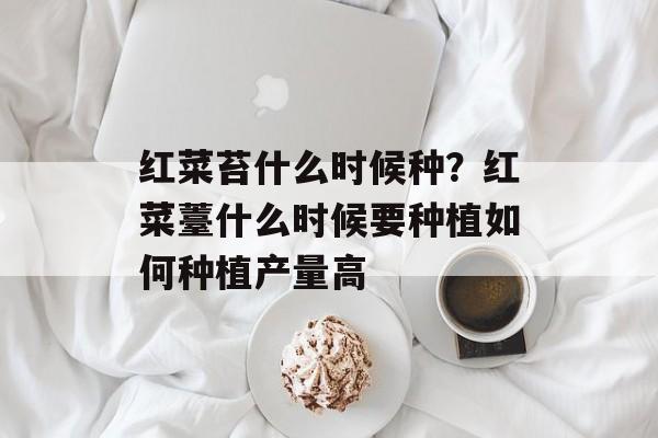 红菜苔什么时候种？红菜薹什么时候要种植如何种植产量高-第1张图片-