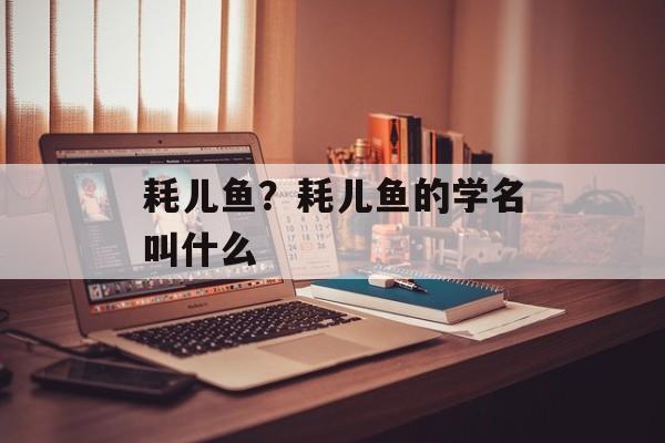 耗儿鱼？耗儿鱼的学名叫什么-第1张图片-