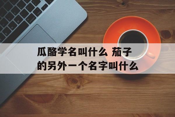 瓜酪学名叫什么 茄子的另外一个名字叫什么-第1张图片-