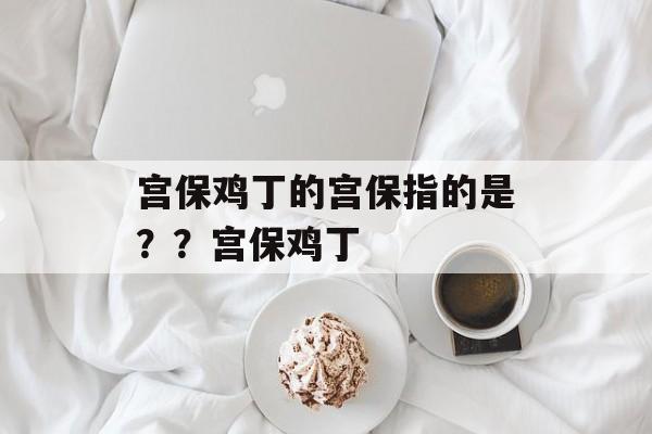 宫保鸡丁的宫保指的是？？宫保鸡丁-第1张图片-