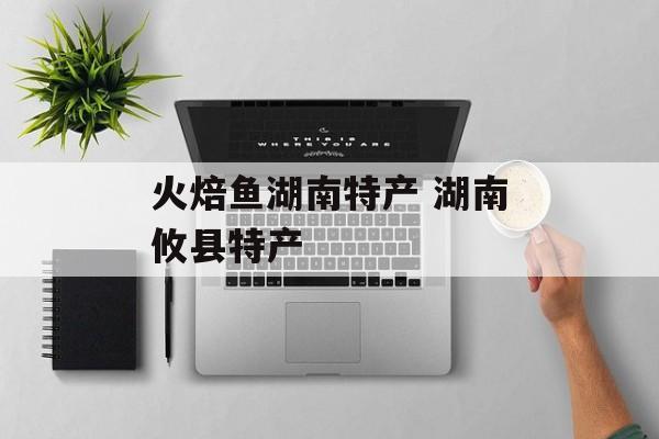 火焙鱼湖南特产 湖南攸县特产-第1张图片-