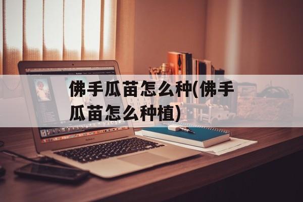 佛手瓜苗怎么种(佛手瓜苗怎么种植)-第1张图片-