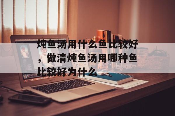 炖鱼汤用什么鱼比较好，做清炖鱼汤用哪种鱼比较好为什么-第1张图片-