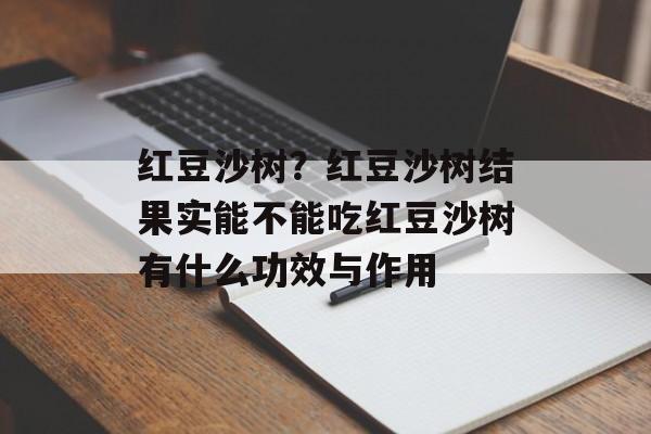 红豆沙树？红豆沙树结果实能不能吃红豆沙树有什么功效与作用-第1张图片-