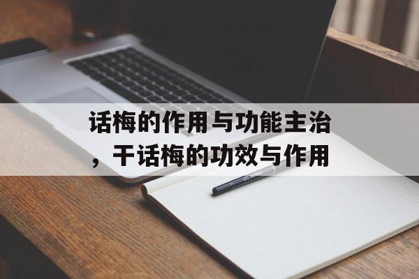 话梅的作用与功能主治,干话梅的功效与作用-第1张图片- 话梅的作用与功能主治,干话梅的功效与作用-第1张图片-