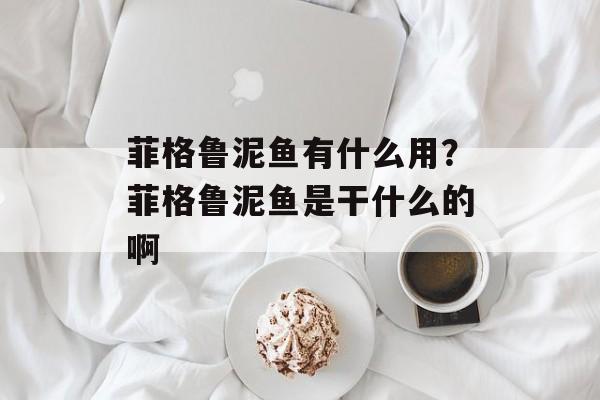 菲格鲁泥鱼有什么用？菲格鲁泥鱼是干什么的啊-第1张图片-