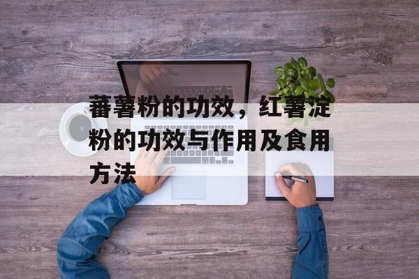 蕃薯粉的功效，红薯淀粉的功效与作用及食用方法-第1张图片-