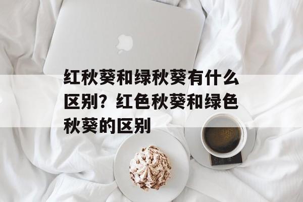 红秋葵和绿秋葵有什么区别?红色秋葵和绿色秋葵的区别-第1张图片- 红秋葵和绿秋葵有什么区别?红色秋葵和绿色秋葵的区别-第1张图片-