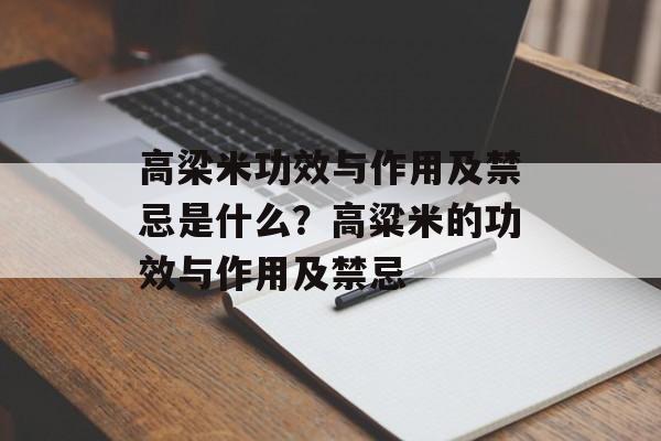 高梁米功效与作用及禁忌是什么？高粱米的功效与作用及禁忌-第1张图片-