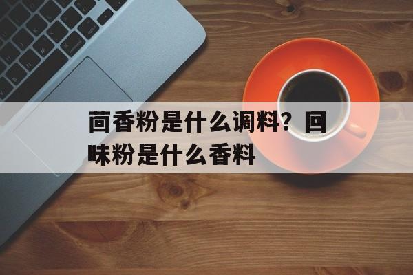 茴香粉是什么调料？回味粉是什么香料-第1张图片-
