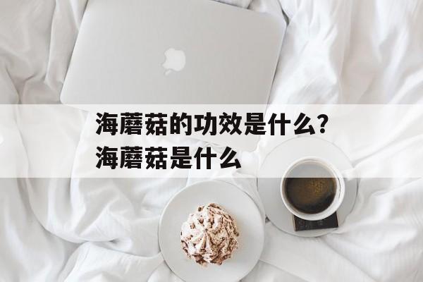 海蘑菇的功效是什么？海蘑菇是什么-第1张图片-