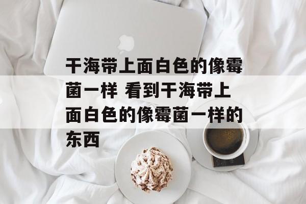 干海带上面白色的像霉菌一样 看到干海带上面白色的像霉菌一样的东西-第1张图片- 干海带上面白色的像霉菌一样 看到干海带上面白色的像霉菌一样的东西-第1张图片-