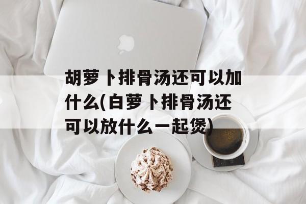 胡萝卜排骨汤还可以加什么(白萝卜排骨汤还可以放什么一起煲)-第1张图片-