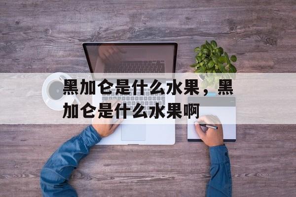 黑加仑是什么水果，黑加仑是什么水果啊-第1张图片-