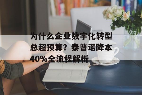为什么企业数字化转型总超预算？泰普诺降本40%全流程解析-第1张图片-
