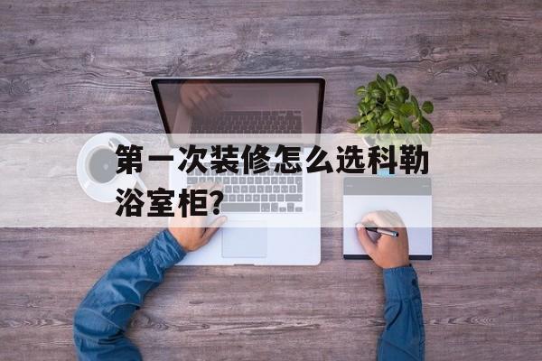 第一次装修怎么选科勒浴室柜？-第1张图片-