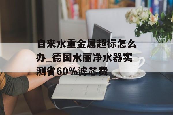 自来水重金属超标怎么办_德国水丽净水器实测省60%滤芯费-第1张图片- 自来水重金属超标怎么办_德国水丽净水器实测省60%滤芯费-第1张图片-