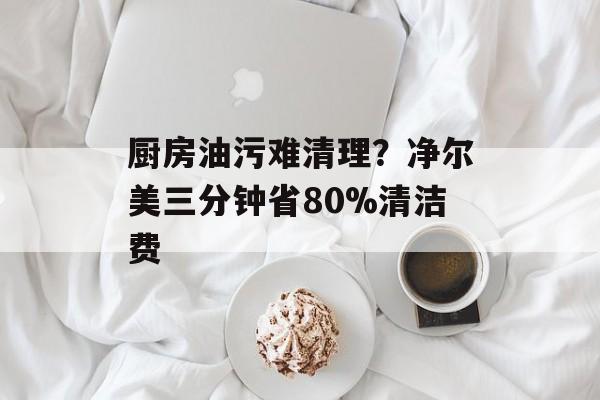厨房油污难清理？净尔美三分钟省80%清洁费-第1张图片-