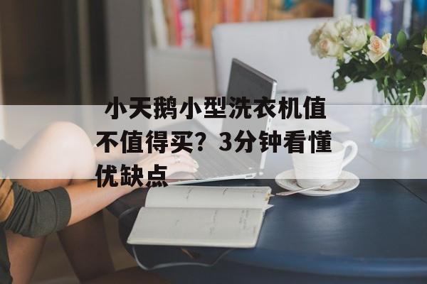  小天鹅小型洗衣机值不值得买？3分钟看懂优缺点-第1张图片-