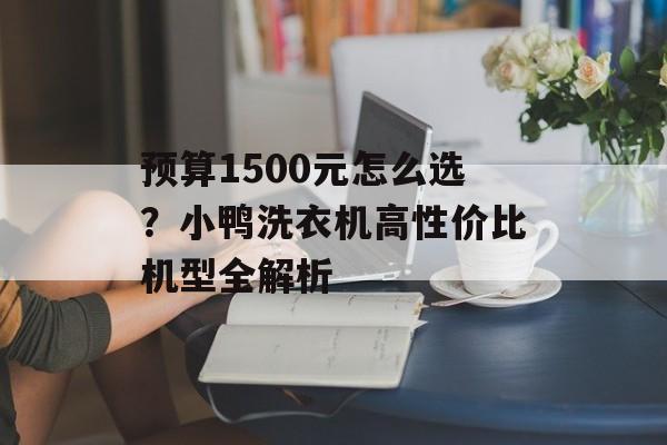 预算1500元怎么选?小鸭洗衣机高性价比机型全解析-第1张图片- 预算1500元怎么选?小鸭洗衣机高性价比机型全解析-第1张图片-