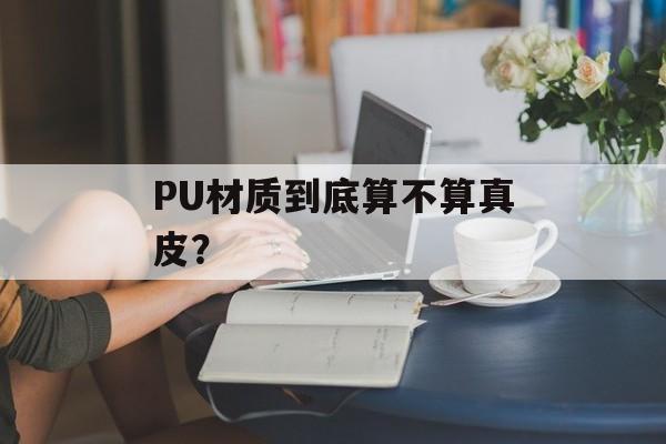 PU材质到底算不算真皮?-第1张图片- PU材质到底算不算真皮?-第1张图片-