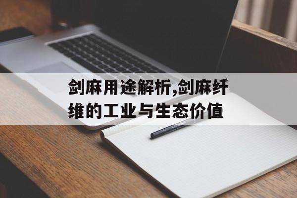 剑麻用途解析,剑麻纤维的工业与生态价值-第1张图片-