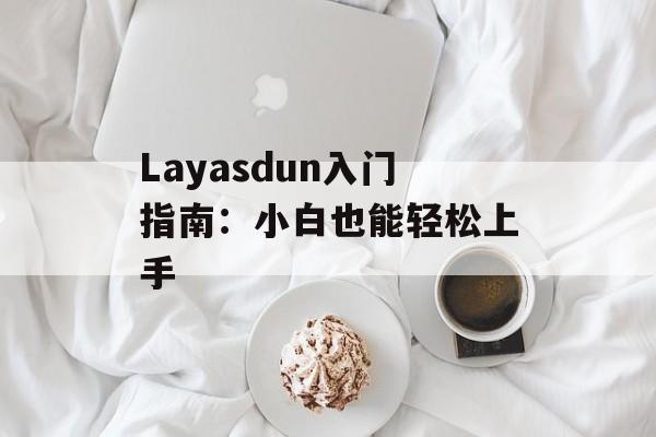 Layasdun入门指南：小白也能轻松上手-第1张图片-
