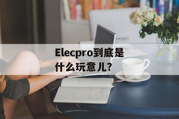 Elecpro到底是什么玩意儿？-第1张图片-