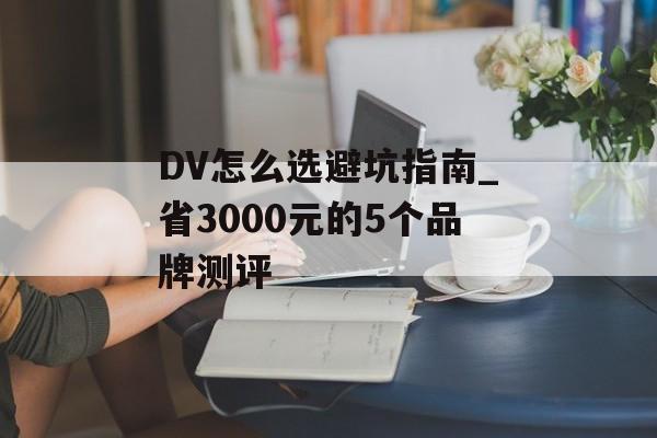 DV怎么选避坑指南_省3000元的5个品牌测评-第1张图片-