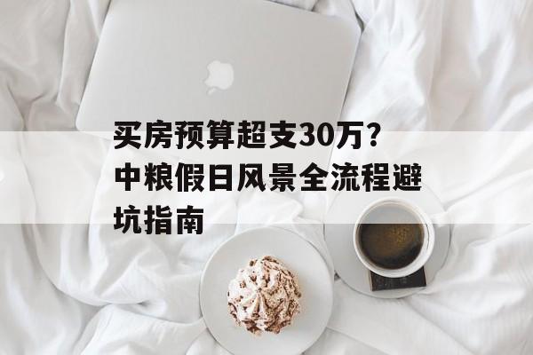 买房预算超支30万？中粮假日风景全流程避坑指南-第1张图片-