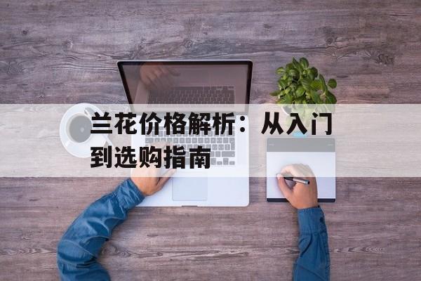 兰花价格解析：从入门到选购指南-第1张图片-