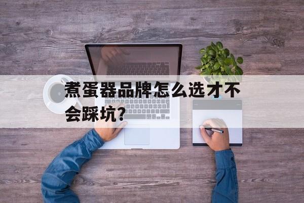 煮蛋器品牌怎么选才不会踩坑？-第1张图片-