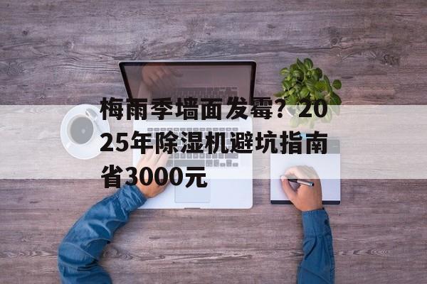 梅雨季墙面发霉？2025年除湿机避坑指南省3000元-第1张图片-