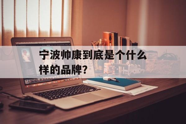 宁波帅康到底是个什么样的品牌？-第1张图片-