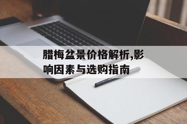 腊梅盆景价格解析,影响因素与选购指南-第1张图片-