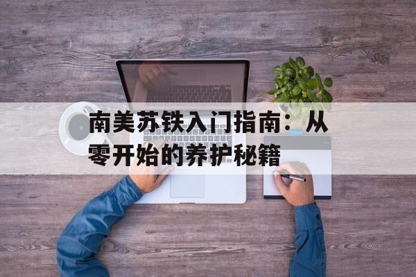 南美苏铁入门指南：从零开始的养护秘籍-第1张图片-