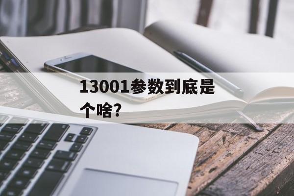 13001参数到底是个啥？-第1张图片-