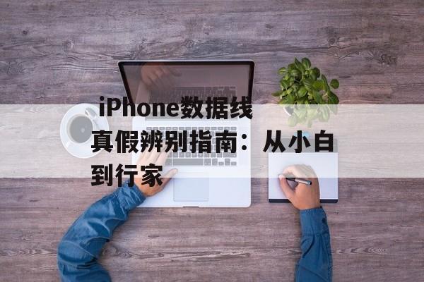  iPhone数据线真假辨别指南：从小白到行家-第1张图片-